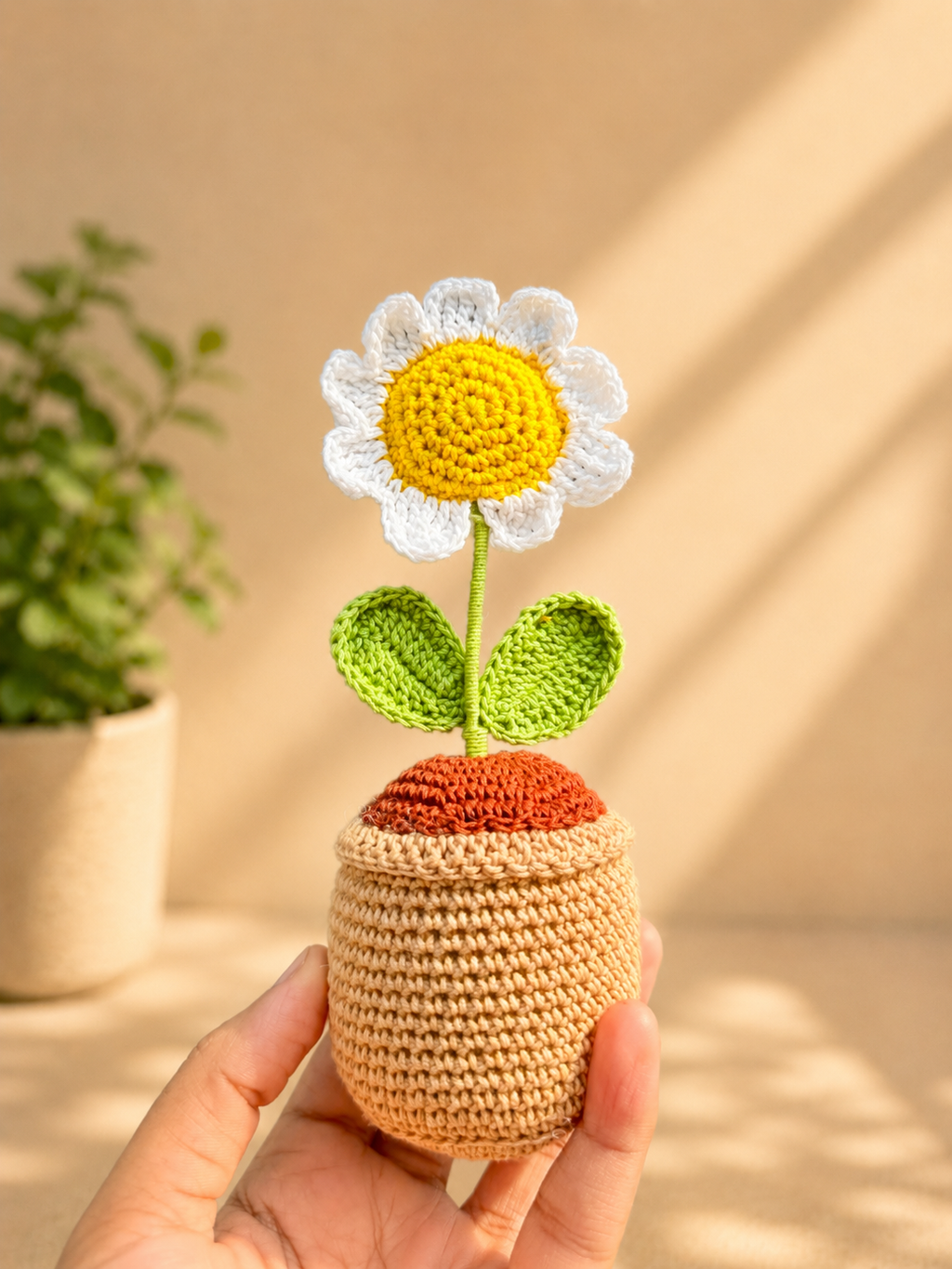 Handmade Crochet Daisy Flower Pot