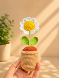 Handmade Crochet Daisy Flower Pot