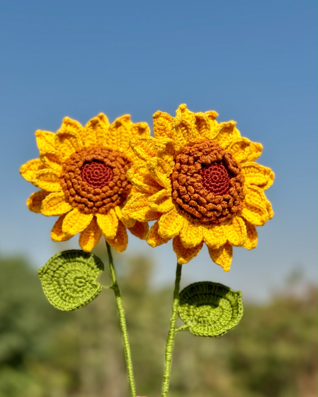 Handmade crochet sunflower by Rubber Band