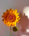 Close-up of handmade crochet sunflower by Rubber Band