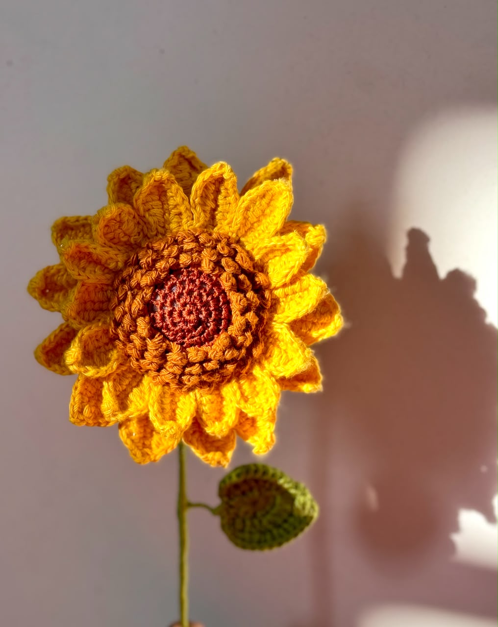 Close-up of handmade crochet sunflower by Rubber Band